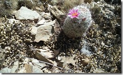20160424_111105
