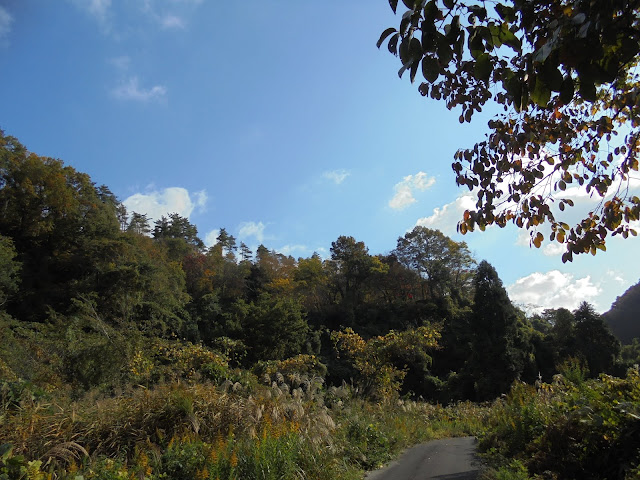 谷の道の山々の紅葉