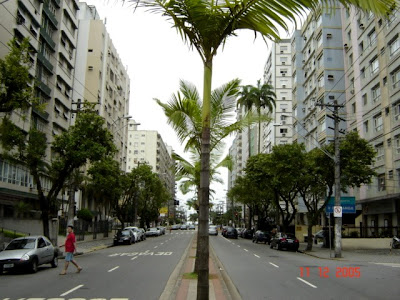 Avenida Conselheiro Nébias, em frente ao Carrefour. Foto de Emilio Pechini