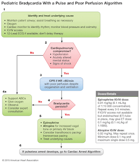   ekg คือ, ekg ผิดปกติ, ekg 12 lead ปกติ, normal sinus rhythm คือ, basic ekg, p wave คือ, การติด ekg monitor, กราฟคลื่นหัวใจผิดปกติ, ekg ย่อมาจาก