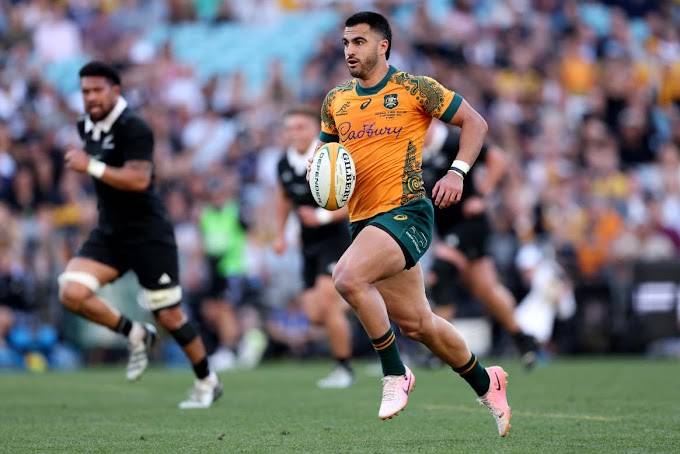 Wallabies’ Late Fightback Falls Short as All Blacks Secure 31-28 Victory