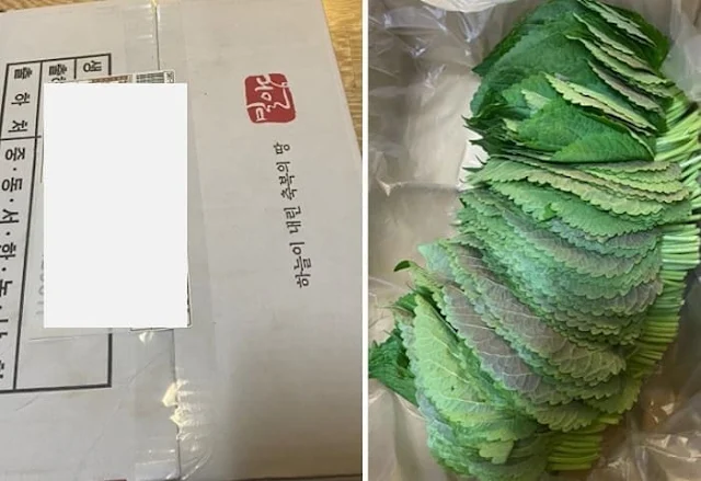 깻잎택배도착