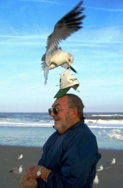 40 Awkward and Funny  Beach  Photos  Damn Cool Pictures