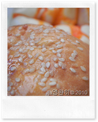 DSCN1319[1]