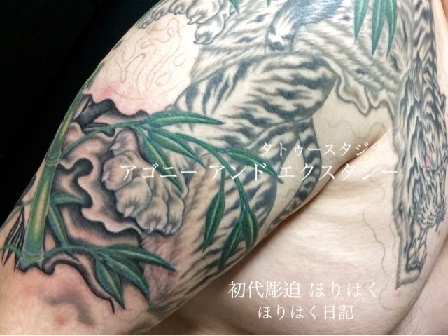 ﾀﾄｩｰ ﾃﾞｻﾞｲﾝ 刺青デザインの画像集 ほりはく日記 刺青 画像 ﾀﾄｩｰ 画像のﾌﾞﾛｸﾞ 刺青 デザイン 和彫り 虎 白虎 独眼白虎 竹 守護水晶 刺青 画像