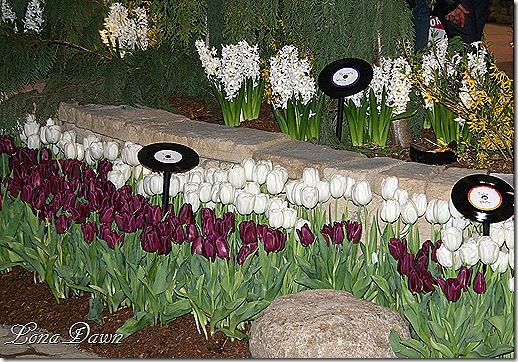HGS_Record_Markers