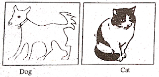 Bihar Board Class 4 English Book Blossom Solutions Chapter 5 Heera and Moti