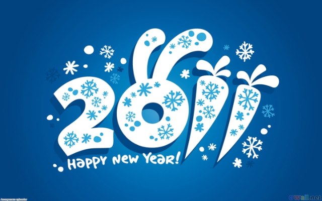 HAPPY NEW YEAR 2011 ! This special post from me. health blog that reviews 