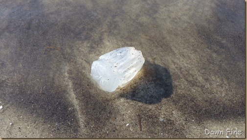 Hunting Island _001
