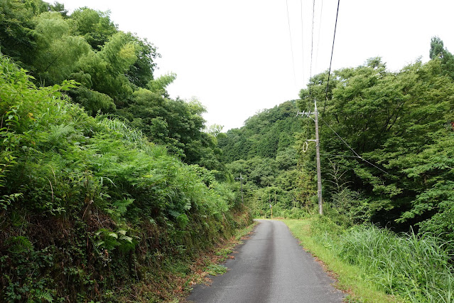 こもれび広場に向かいます