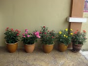 Aksesoris 70+ Pasu Bunga Hiasan Dalam Rumah