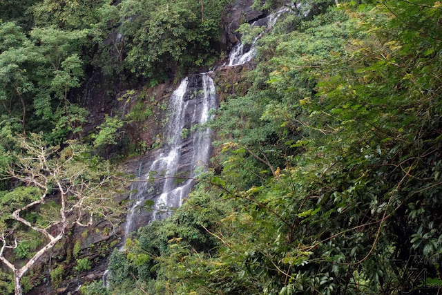 Small waterfalls on the way to the base of jog falls