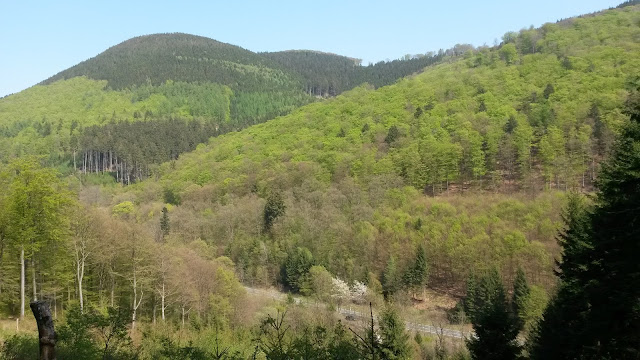 Sauerland wandern Wetter blog Schluchtgebirge Olsberg Bestwig Panoramaweg X10 Wilhelm-Münker-Weg