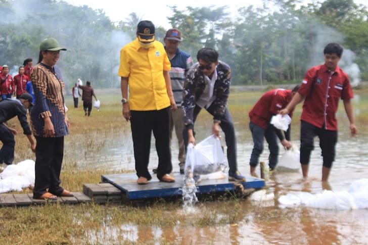 Tabur 15 Ribu Bibit Ikan Di Gunungkidul, Anggota DPR RI Gandung Pardiman Dorong Ekonomi Naik