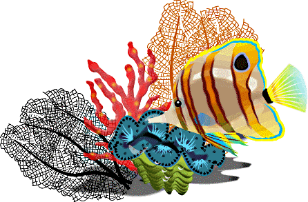 Pet Fish Cartoon