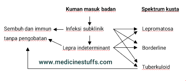 PENYAKIT KUSTA MORBUS HANSEN Medicine Stuffs