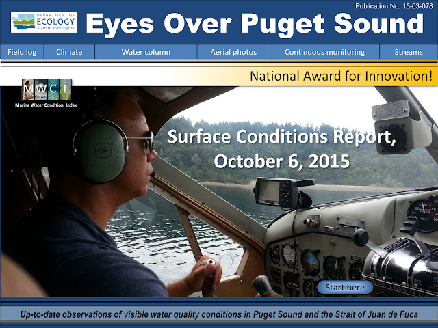 Eyes Over Puget Sound