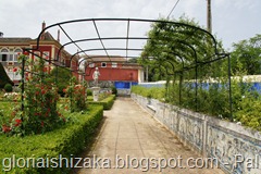 SONY DSC                       