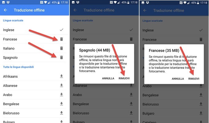 rimozione-traduzione-offline