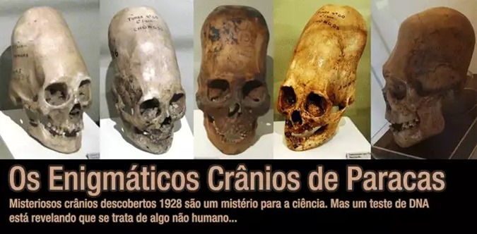 cranios de paracas 01