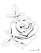 Hi ha una rosa que és per tu. No es ni blanca ni vermella, (dibujo colorear flor rosa source)