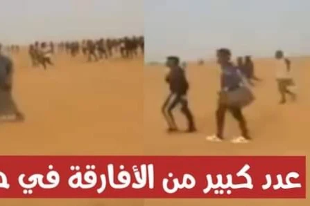 فيديو مرعـ ـب لعدد كبير من الأفارقة في طريقهم إلى تونس عبر الصحراء الان