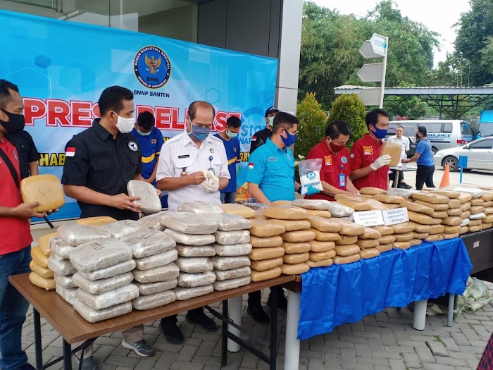 BNNP Banten Bongkar Sindikat Jaringan Ganja dengan Barang Bukti 298 Kg