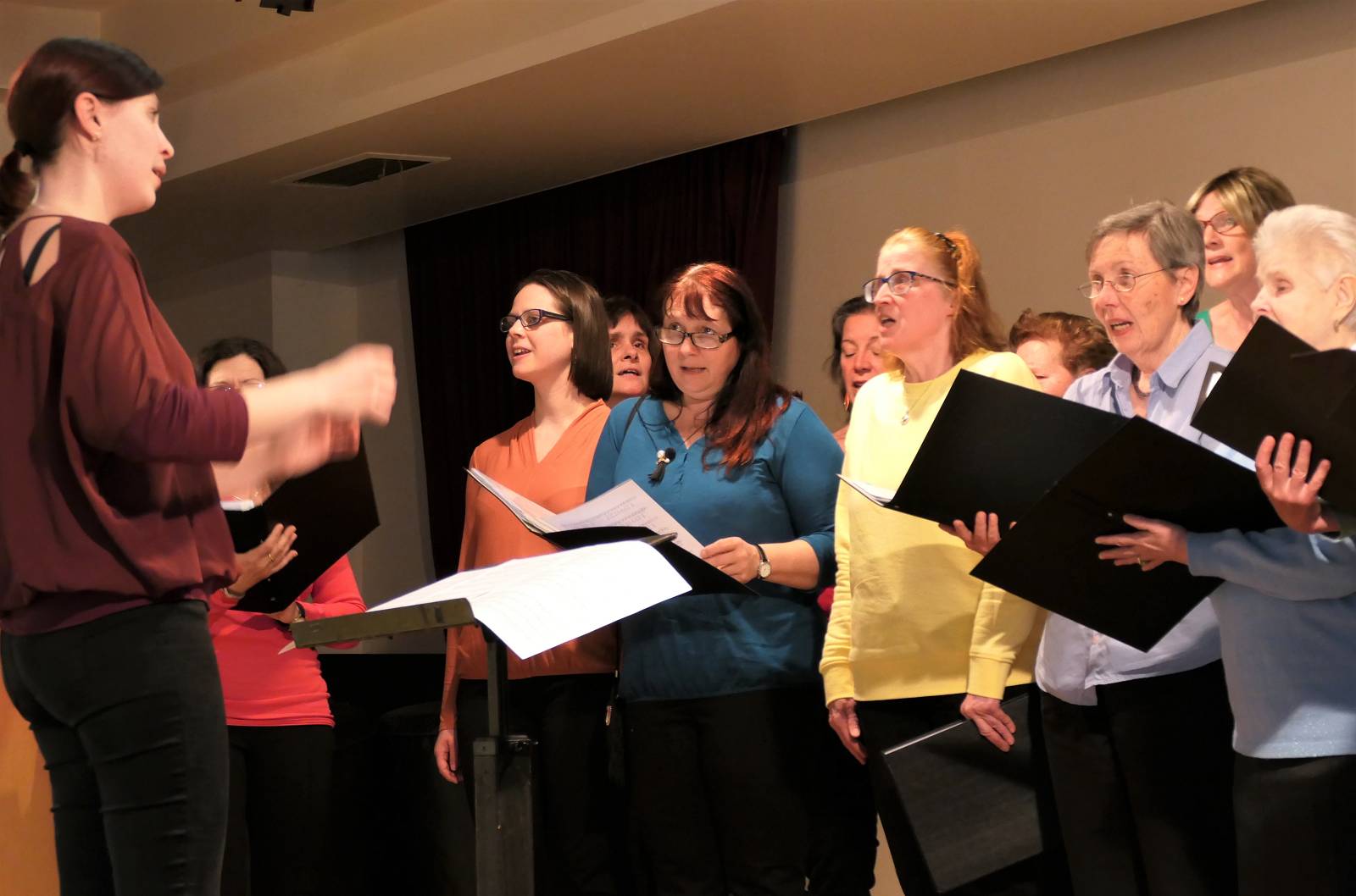 Ausschnitt Louis Braille Chor beim Singen der Wienerlieder