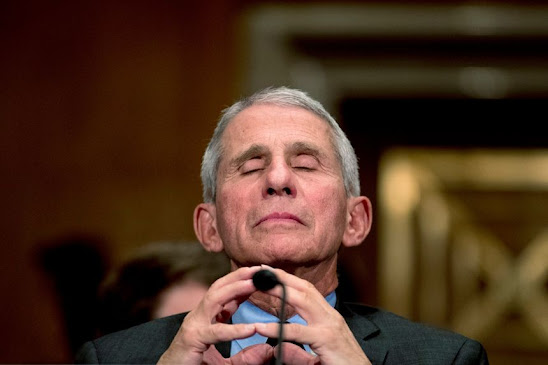 Anthony Fauci Venice oligarchy cancer corruption puppet master lawlessness pandemic COVID vaccines lockdowns
