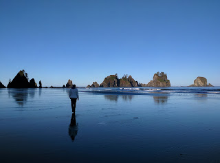 Shi Shi Beach
