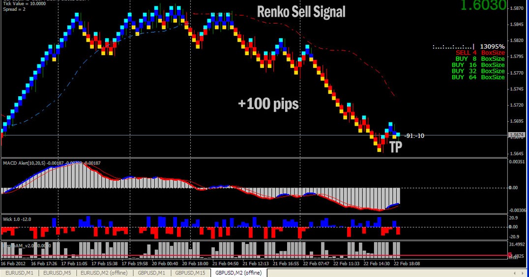 binary options trading with renko charts