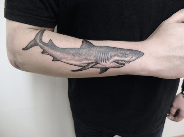 Este dotwork de tubarão