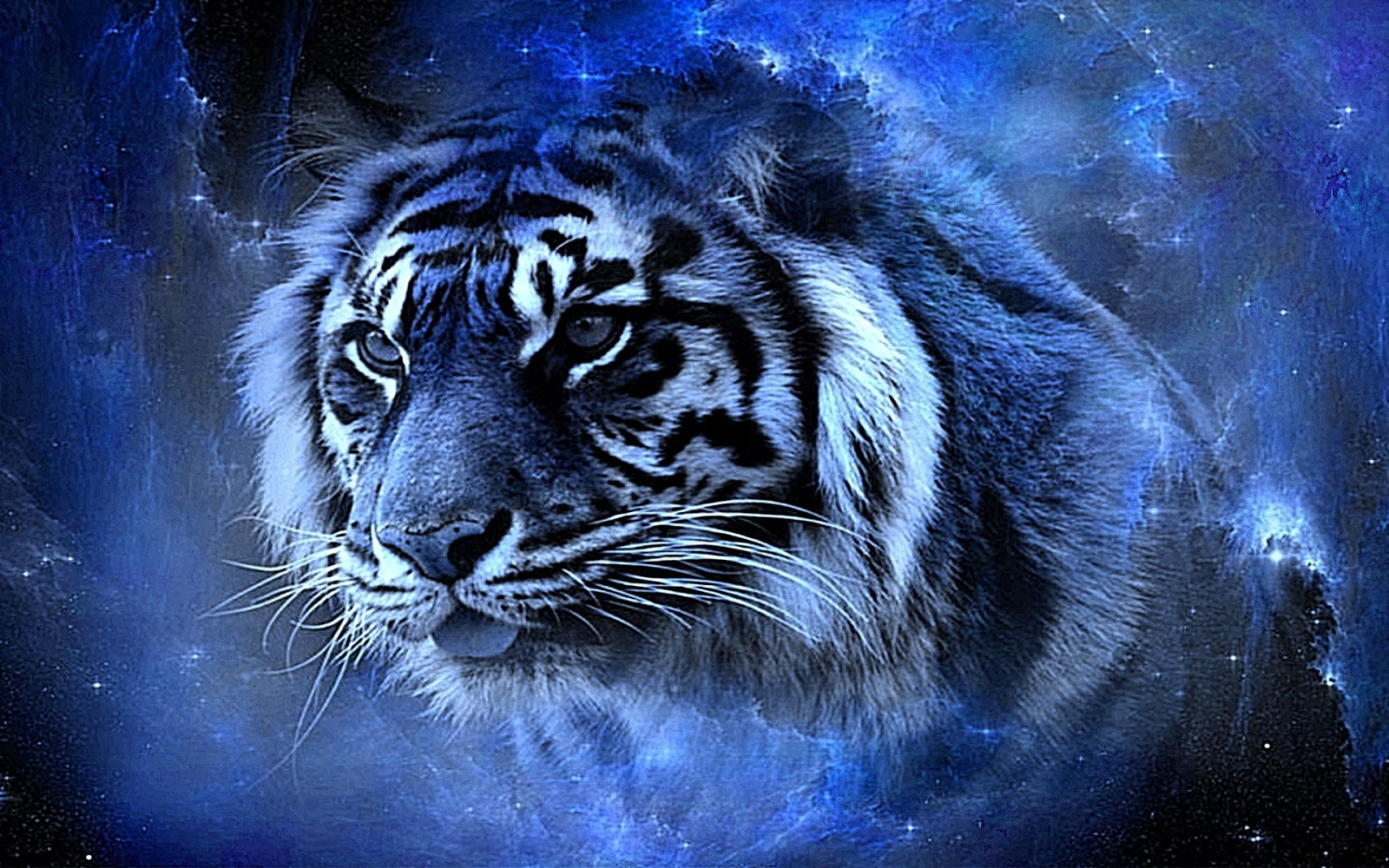 Real Tigers Wallpaper 3D Full HD 4K free  Top Model Hairstyle