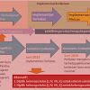 Contoh Promes Prota IPA SD MI Kelas 4 5 6 KTSP