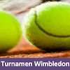 Apa Itu Kejuaraan Tenis Wimbledon, Juara Single Laki-Laki Dan Wanita