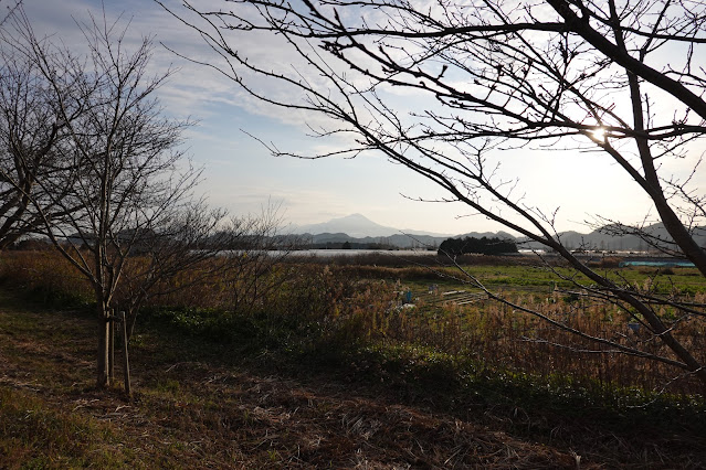 島根県安来市島田町 大山の眺望