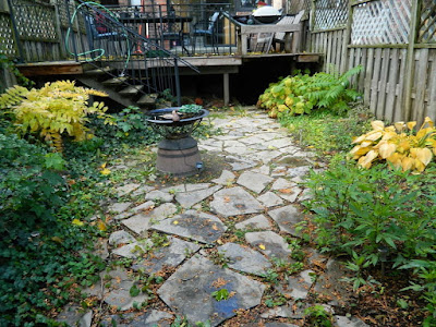 Leslieville Toronto Fall Garden Cleanup Before by Paul Jung Gardening Services--a Toronto Organic Gardener