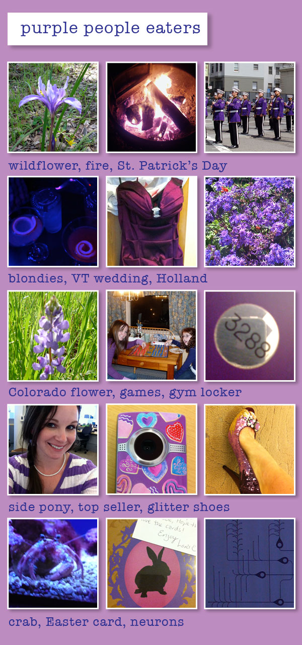 It was possibly the best wedding I have ever been to The colors were purple