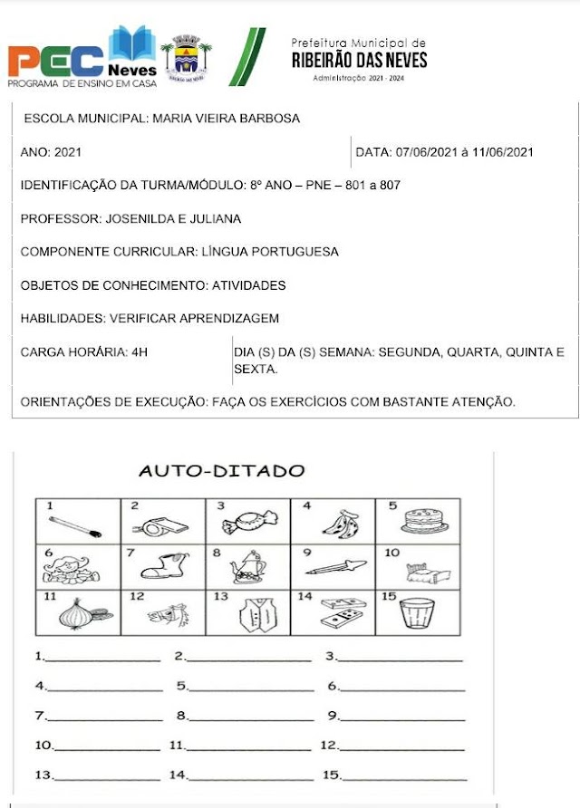 Atividades Língua Portuguesa - 8º Ano -  PNE