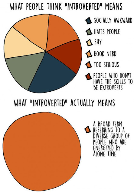 What people think introverted means - Accurate Diagrams Showing What It’s Really Like To Be An Introvert