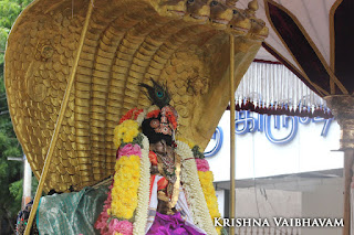 Sri Krishna Jayanthi, Kutty, Kannan, Purappadu,2016, Video, Divya Prabhandam,Sri Parthasarathy Perumal, Triplicane,Thiruvallikeni,Utsavam,