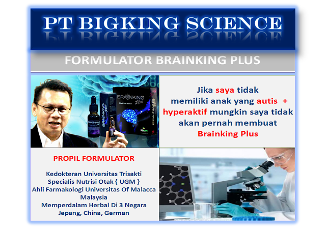 brainking plus >> 08123 01 8900