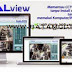 Cara Lihat DVR Callion Online