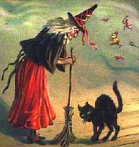Bruxas E Gatos