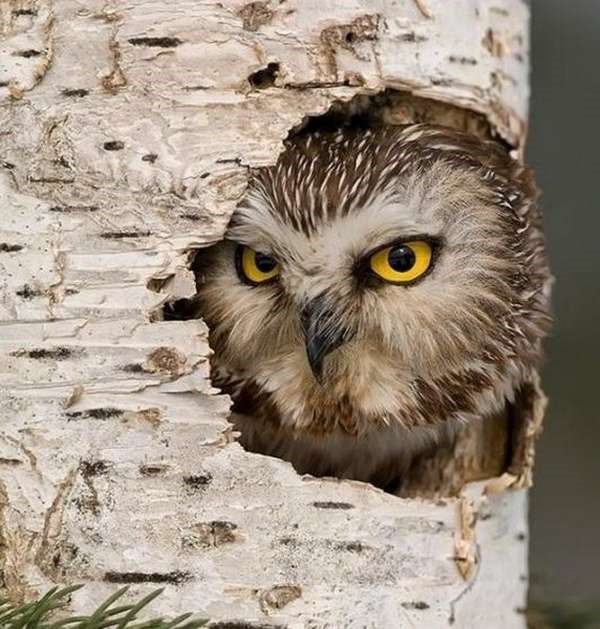 Imagens engraçadas e curiosas 35