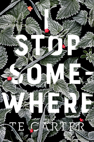 I Stop Somewhere by T. E. Carter