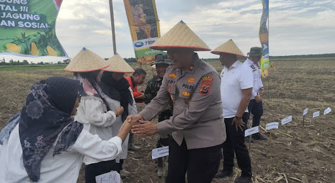 Wakapolres Belawan Bersama Muspika Hamparan Perak Gelar Vidcom Ketahanan Pangan di Kelambir V Kebun