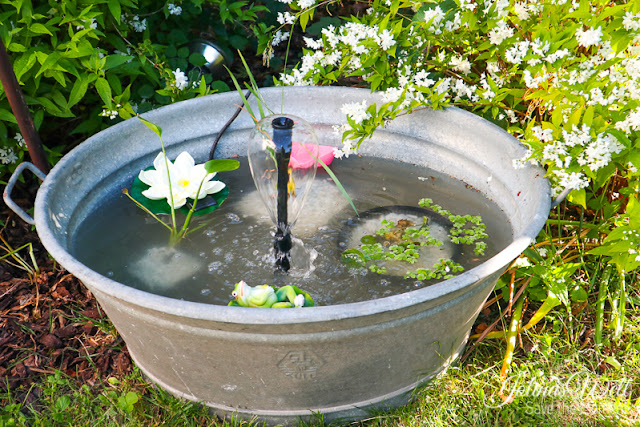 Kleiner Teich mit Springbrunnen in einer Zinkwanne