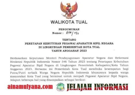 Rincian Formasi ASN PPPK Kota Tual Provinsi Maluku Tahun 2023 Pdf