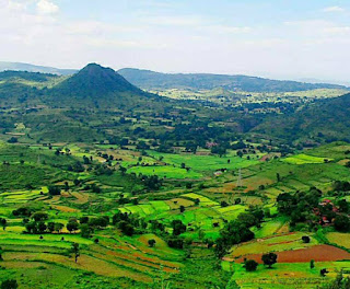 Araku